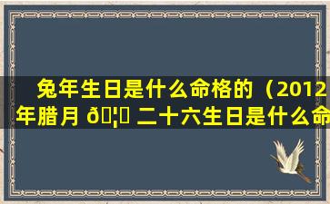 兔年生日是什么命格的（2012年腊月 🦋 二十六生日是什么命格）